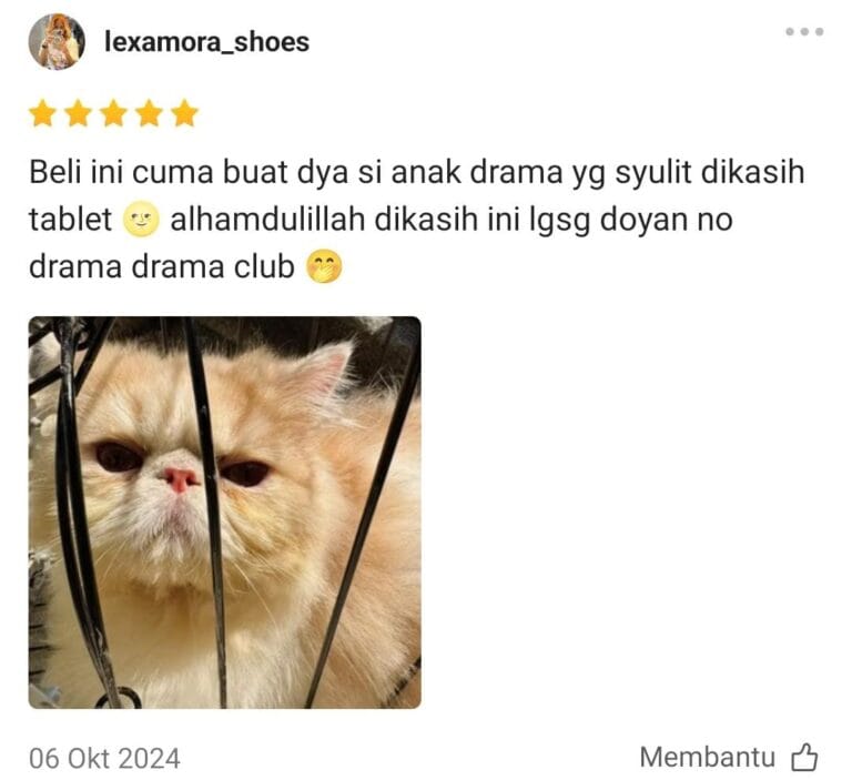 Gambar WhatsApp 2025-01-02 pukul 10.16.42_91aac344