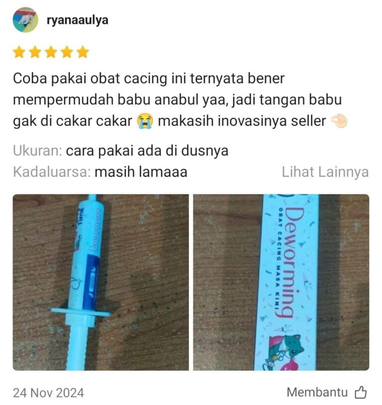 Gambar WhatsApp 2025-01-02 pukul 10.16.44_1970706d